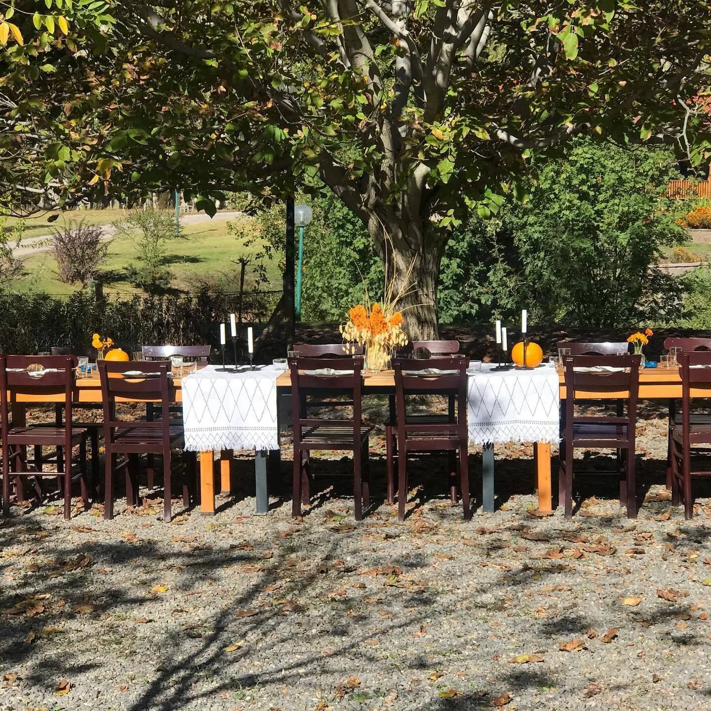 Ayone Çiftliği - Ankara Nikah Salonu - fotoğraf 10