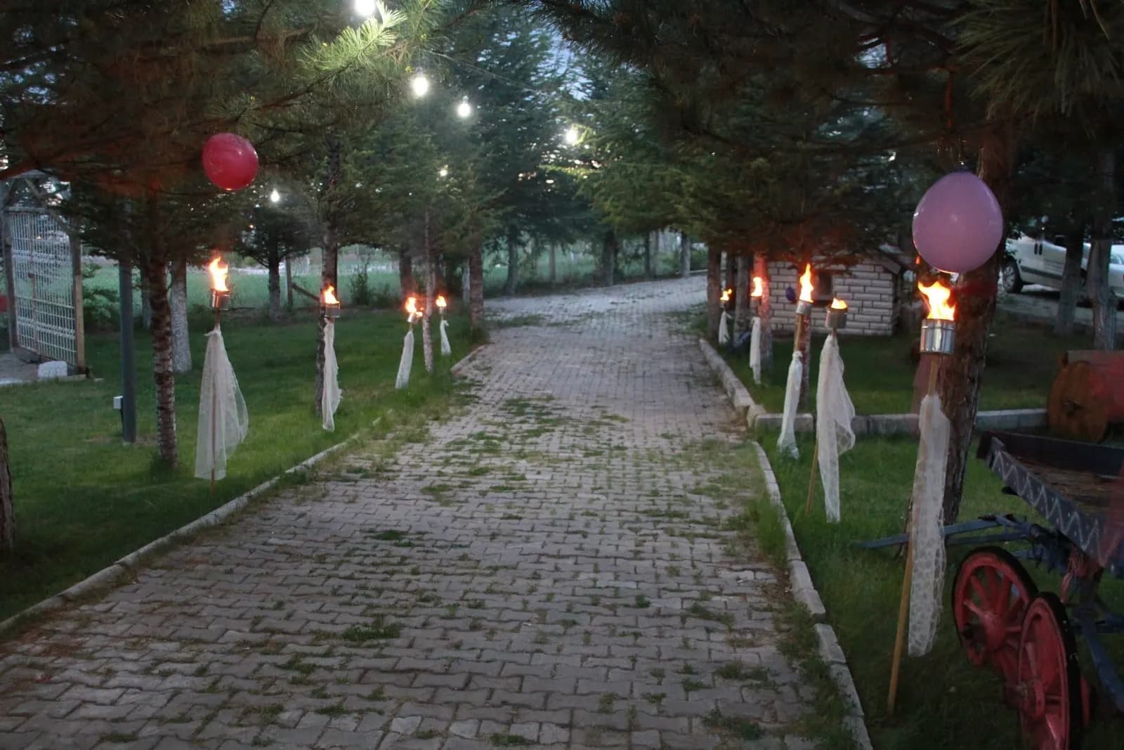 Gizemli Bahçe Kır Düğünü - Ankara Kır Düğünü Mekanı - fotoğraf 9