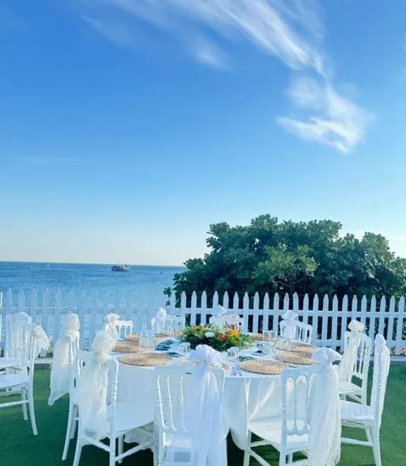 Atapark Life - İstanbul Kır Düğünü Mekanı - fotoğraf 4