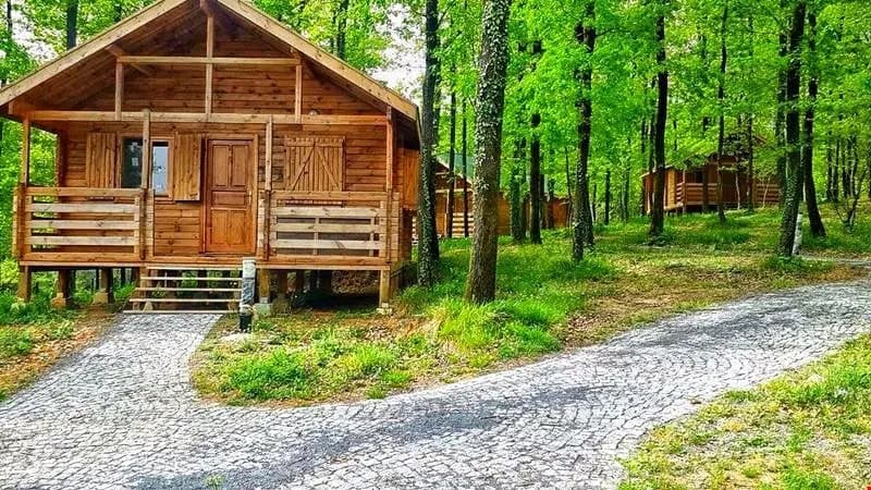 Avcıkoru Tabiat Parkı - İstanbul Kır Düğünü Mekanı - fotoğraf 6