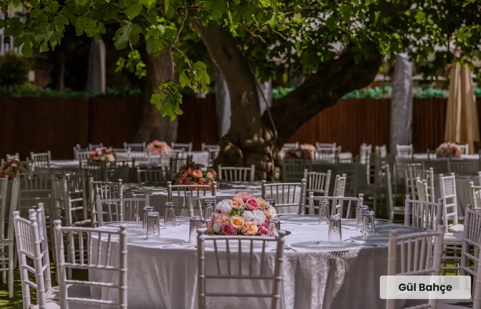 Bambi Garden O Ağacın Altı - İstanbul Düğün Salonu - fotoğraf 18