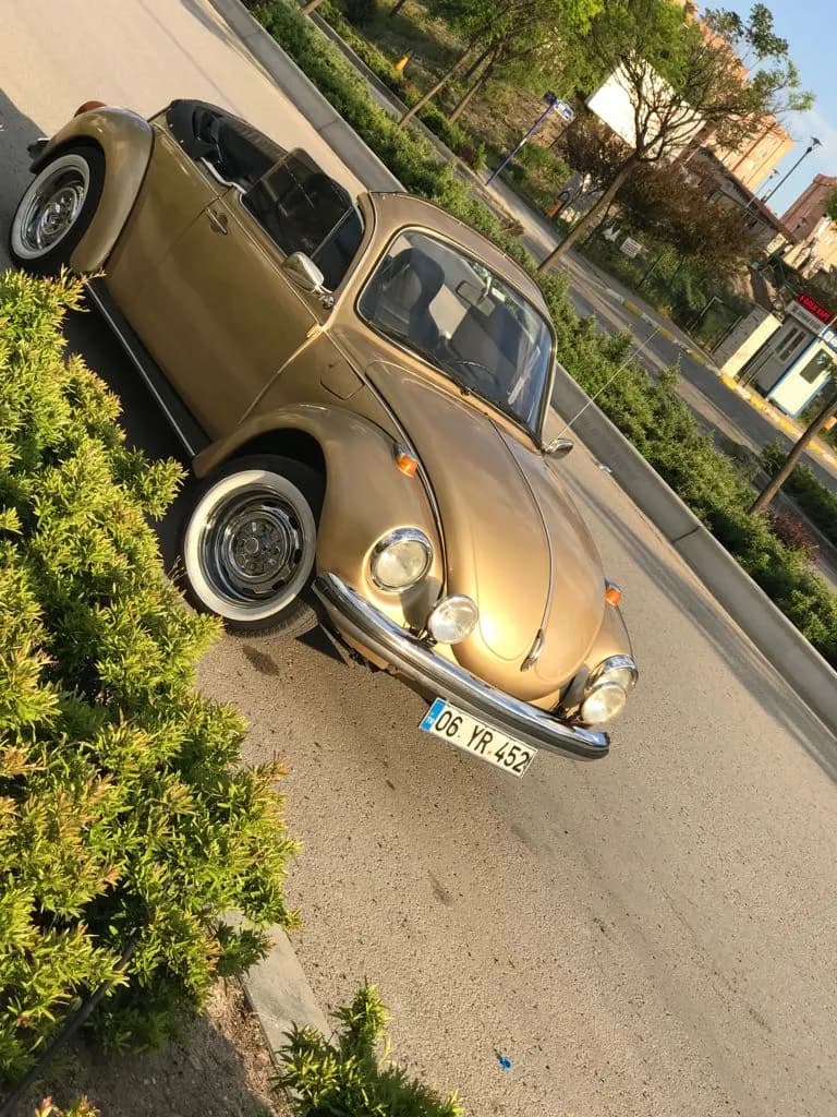 Green Happiness Car - İstanbul Gelin Arabası Firması - fotoğraf 7