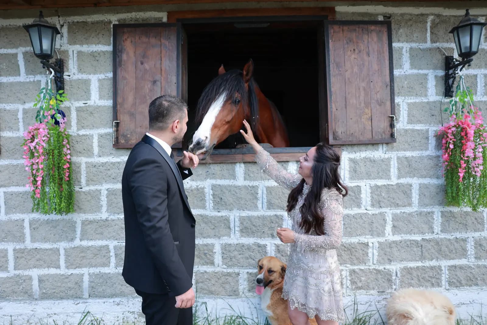 Kerem Bey At Çiftliği - İstanbul Söz-Nişan Mekanı - fotoğraf 10