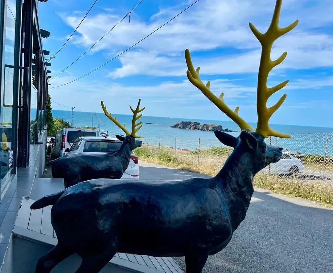 Laga Luga Lounge - İstanbul Söz-Nişan Mekanı
