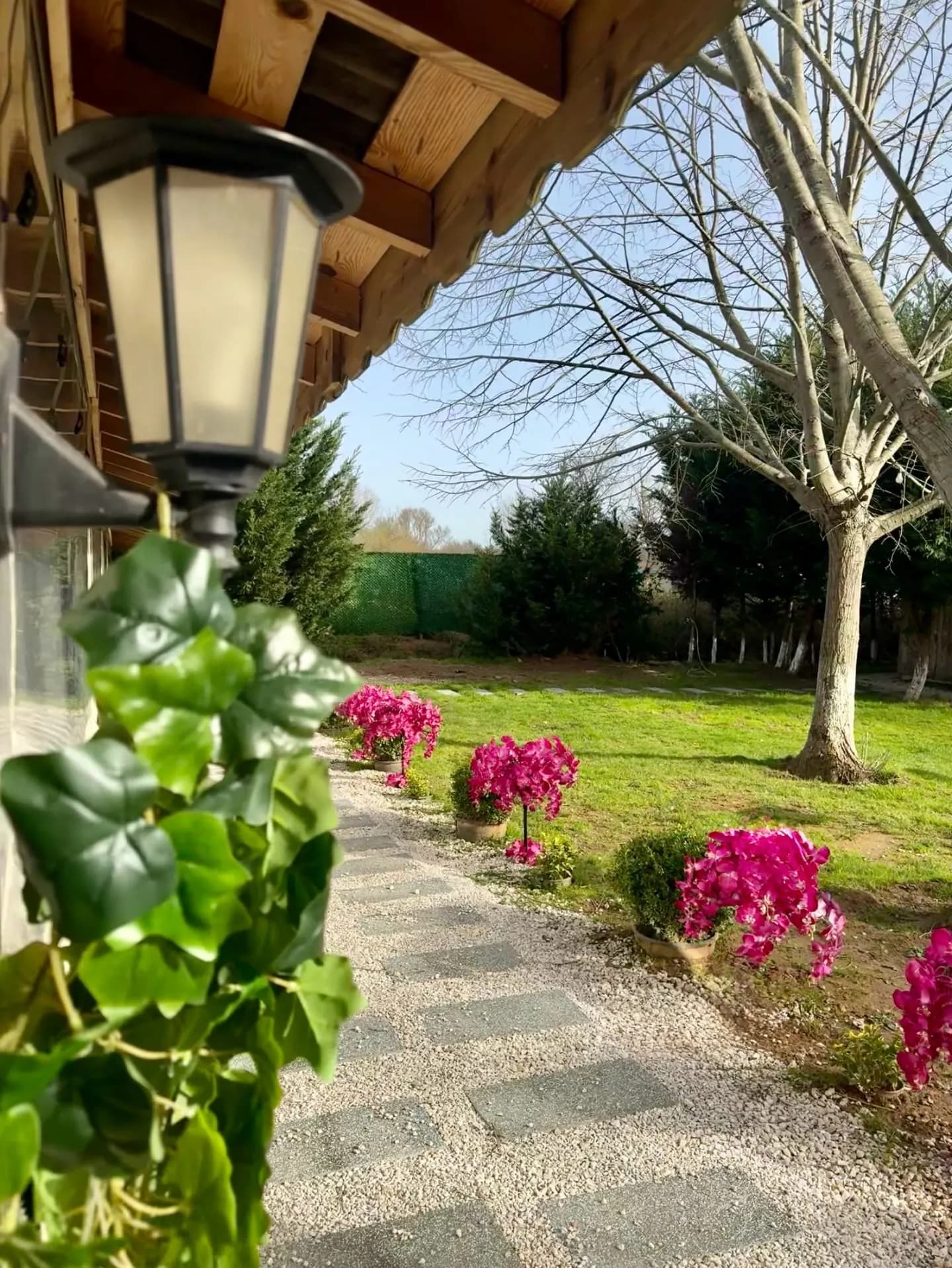 Riva Events - İstanbul Söz-Nişan Mekanı - fotoğraf 8