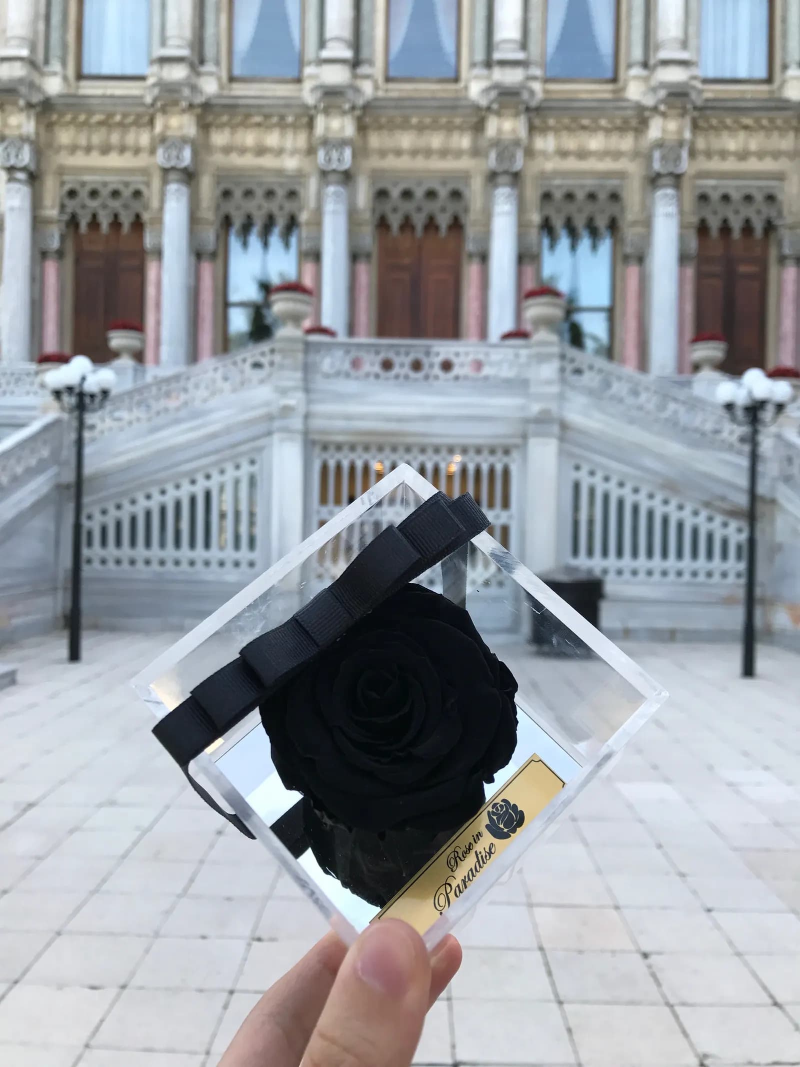 Rose In Paradise - İstanbul Hediyelik Firması - fotoğraf 3
