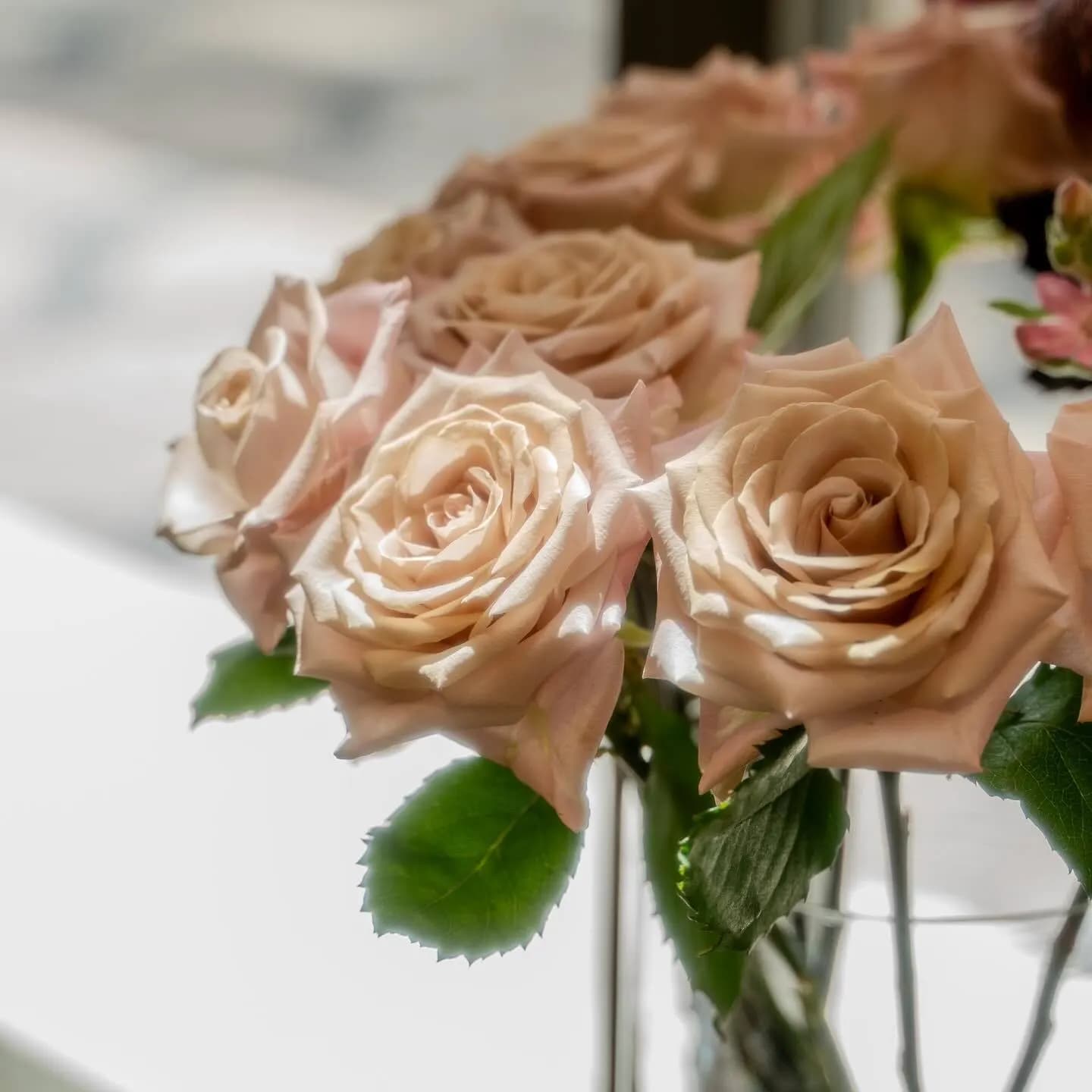 Rue de Fleur Event - İstanbul Organizasyon Firması - fotoğraf 5
