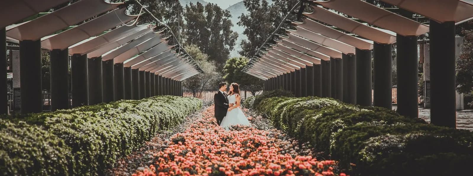 Abroga Photography - İzmir Fotoğrafçı - fotoğraf 4