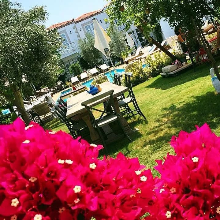 Bay C Hotel Alaçatı - İzmir Bekarlığa Veda Organizasyonu - fotoğraf 6