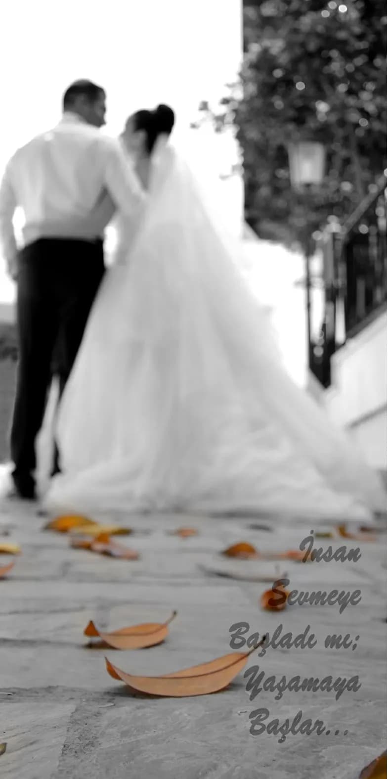 Foto Semih - İzmir Fotoğrafçı - fotoğraf 2