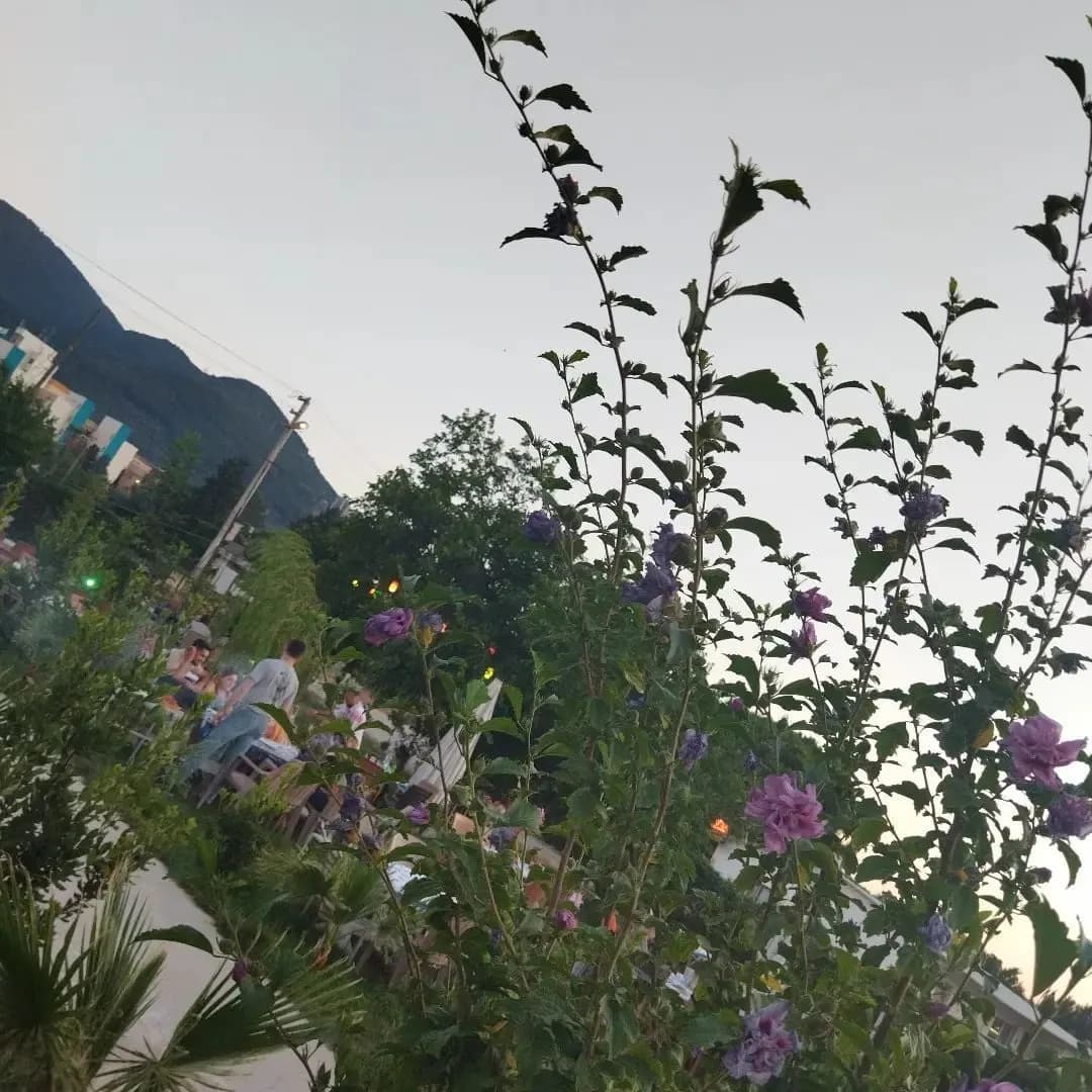 Pirdalı Et Mangal - İzmir Bekarlığa Veda Organizasyonu - fotoğraf 7