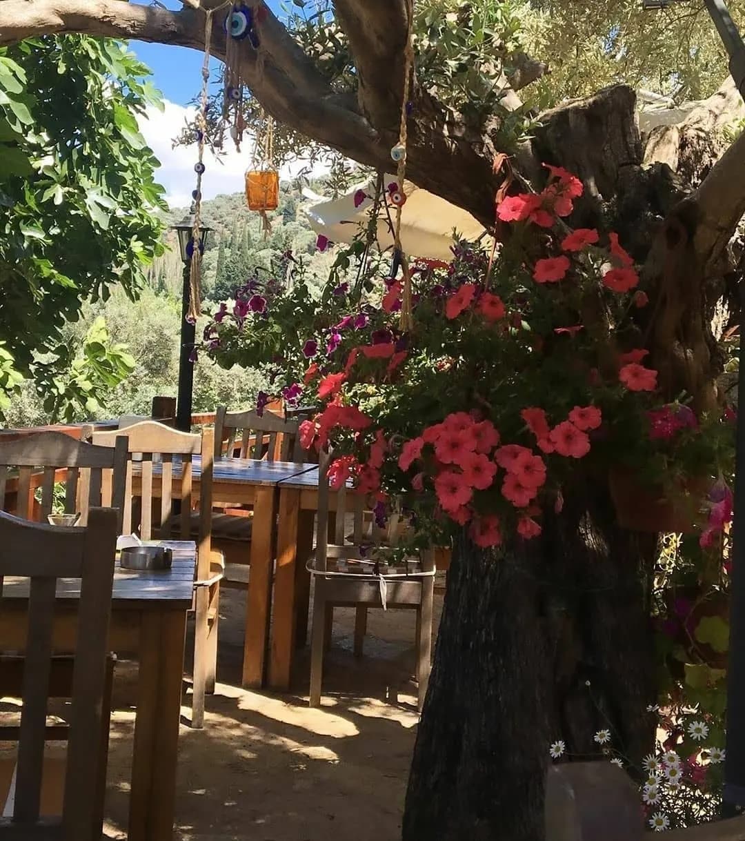 Şirince Klaseas Hotel & Restaurant - İzmir Bekarlığa Veda Organizasyonu - fotoğraf 5