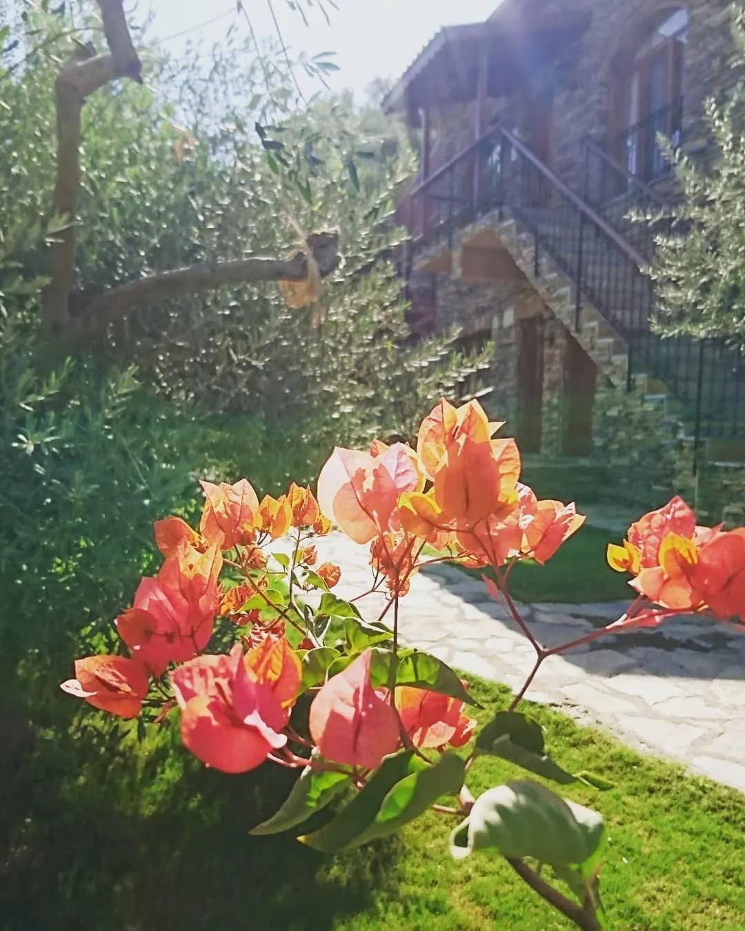 Şirince Klaseas Hotel & Restaurant - İzmir Bekarlığa Veda Organizasyonu - fotoğraf 9