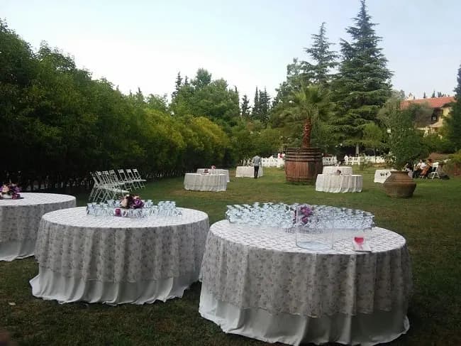 Su Perisi Hotel - İzmir Kır Düğünü Mekanı - fotoğraf 5