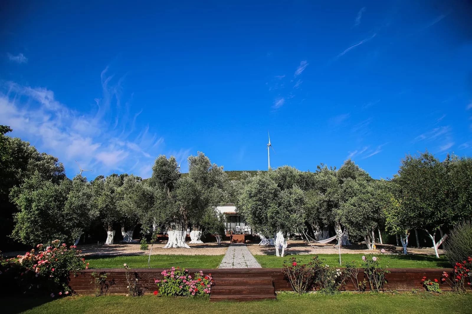 Suess Otel Alaçatı - İzmir Kır Düğünü Mekanı - fotoğraf 8