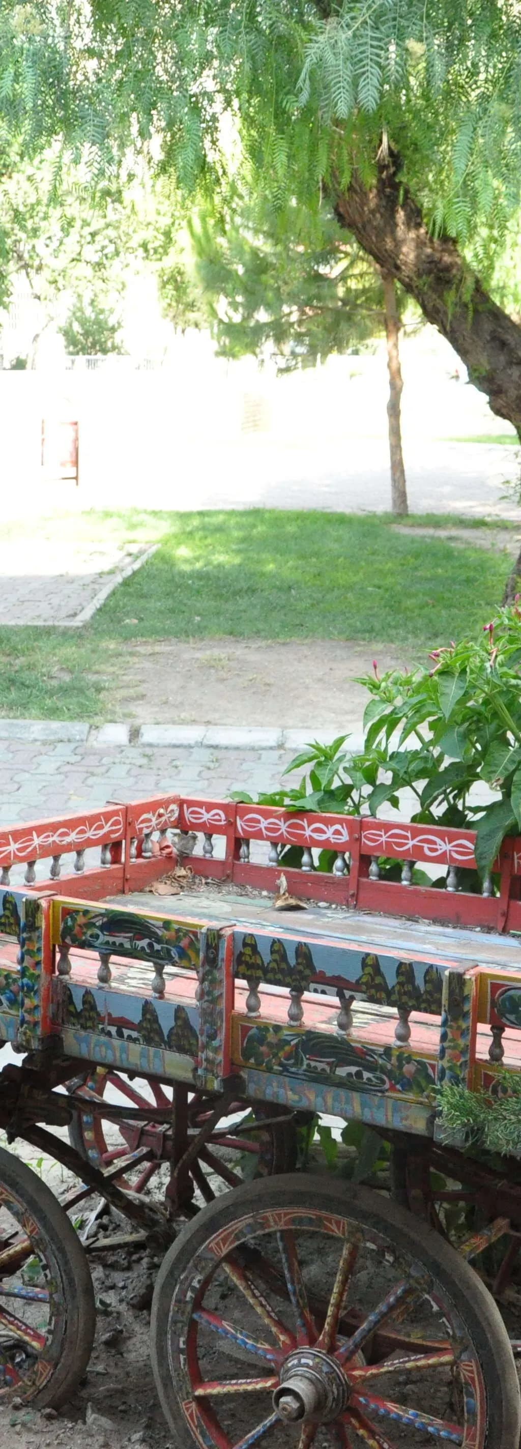 Taş Konak Düğün Salonu - İzmir Düğün Salonu - fotoğraf 2